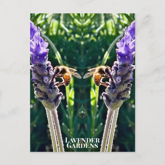 The Lavender & The Bee Briefkaart (Voorkant)