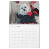 The Life of Gilbert Calendar 2026 Kalender (Feb 2027)