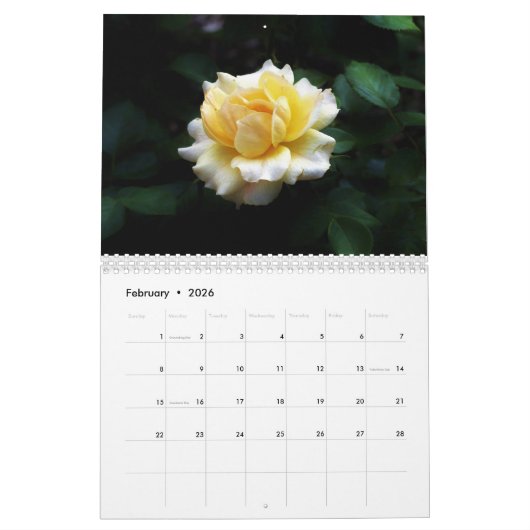 The Lily & the Rose Calendar Kalender (Feb 2026)
