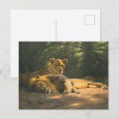 The Lions' Den by Wilhelm Kuhnert Briefkaart (Voorkant / Achterkant)