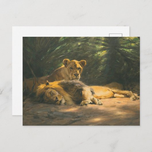 The Lions' Den by Wilhelm Kuhnert Briefkaart (Voorkant / Achterkant)