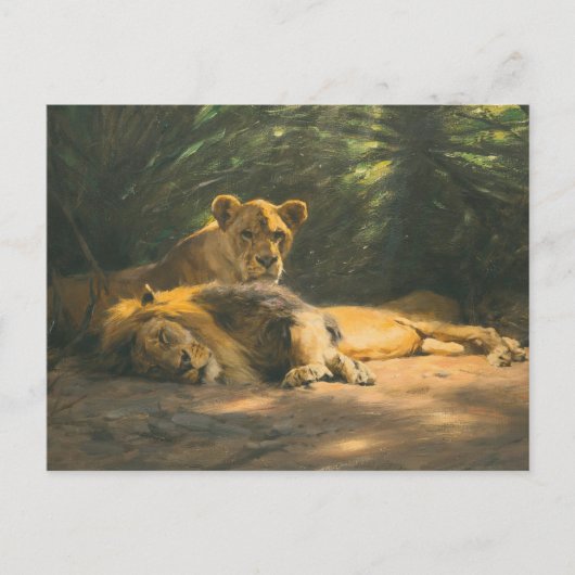 The Lions' Den by Wilhelm Kuhnert Briefkaart (Voorkant)