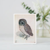 The Little Owl, Albrecht Durer Briefkaart (Staand voorkant)