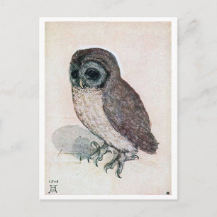 The Little Owl, Albrecht Durer Briefkaart
