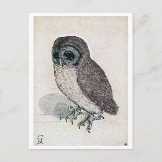 The Little Owl, Albrecht Durer Briefkaart (Voorkant)