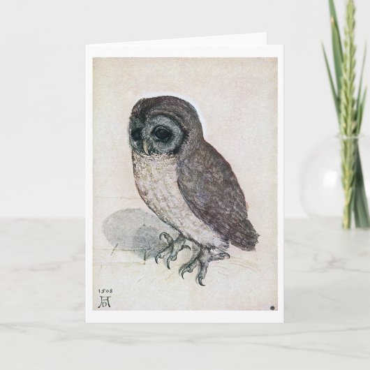 The Little Owl, Albrecht Durer Kaart (Voorkant)