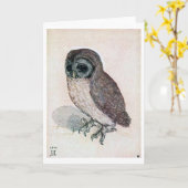 The Little Owl, Albrecht Durer Kaart (Gele Bloem)