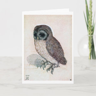 The Little Owl, Albrecht Durer Kaart