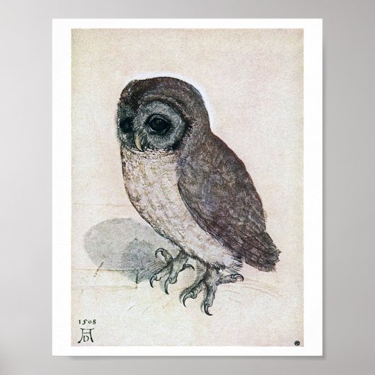 The Little Owl, Albrecht Durer Poster (Voorkant)