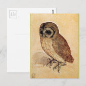 The Little Owl by Albrecht Durer Briefkaart (Voorkant / Achterkant)