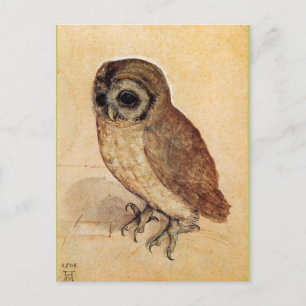 The Little Owl by Albrecht Durer Briefkaart