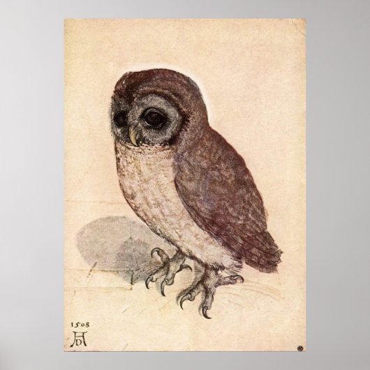 The Little Owl by Albrecht Dürer Poster (Voorkant)