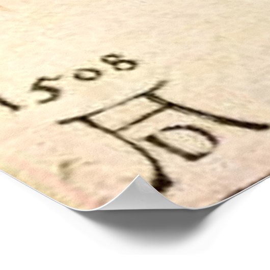 The Little Owl by Albrecht Dürer Poster (Hoek)