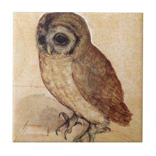 The Little Owl by Albrecht Durer Tegeltje (Voorkant)