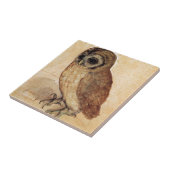 The Little Owl by Albrecht Durer Tegeltje (Zijkant)