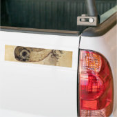 The Little Owl (door Albrecht Durer) Bumpersticker (Op Truck)