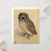 The Little Owl (door Albrecht Durer) Kaart (Voorkant / Achterkant in situ)