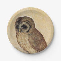 The Little Owl (door Albrecht Durer)