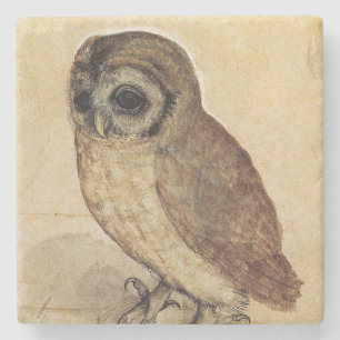 The Little Owl (door Albrecht Durer) Stenen Onderzetter