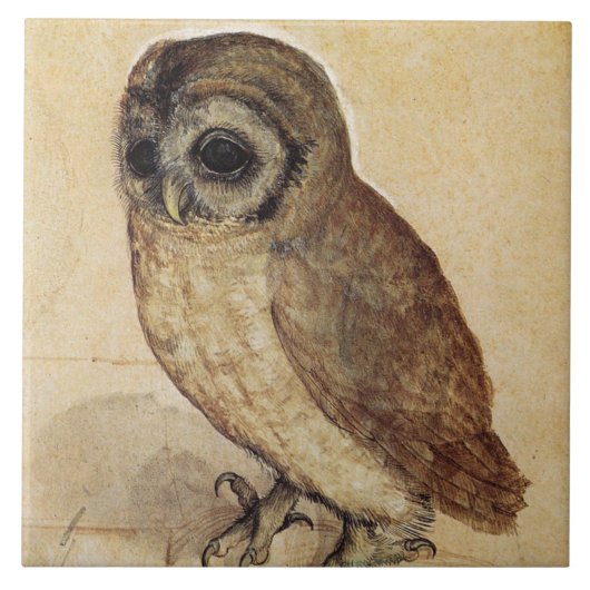 The Little Owl (door Albrecht Durer) Tegeltje (Voorkant)