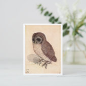 "The Little Owl" van Albrecht Dürer Briefkaart (Staand voorkant)