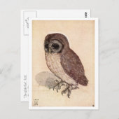 "The Little Owl" van Albrecht Dürer Briefkaart (Voorkant / Achterkant)