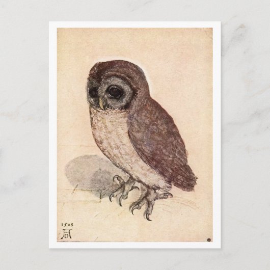 "The Little Owl" van Albrecht Dürer Briefkaart (Voorkant)
