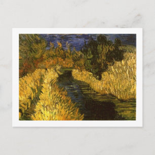 The Little Stream Van Gogh Fine Art Briefkaart