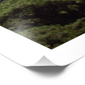 "The Lone Tree Lingers" Monterey County Foto Afdruk (Hoek)