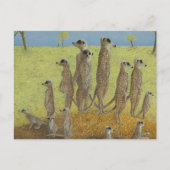 The Lookout Briefkaart (Voorkant)