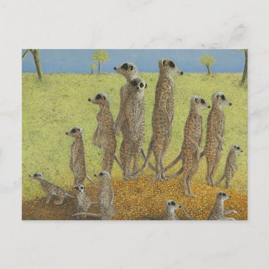 The Lookout Briefkaart (Voorkant)