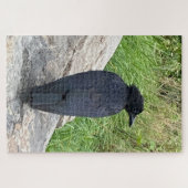 The Lookout – Stille gloed in de Smokies Legpuzzel (Horizontaal)
