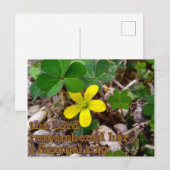 The Lord Remembered Her Bible Verse Postcard Briefkaart (Voorkant / Achterkant)