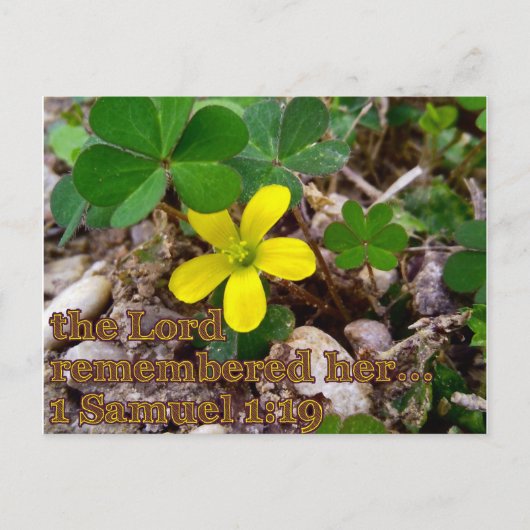 The Lord Remembered Her Bible Verse Postcard Briefkaart (Voorkant)