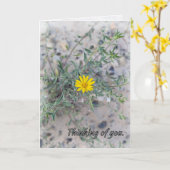 “The Lord Watches Over You”  Kaart (Gele Bloem)