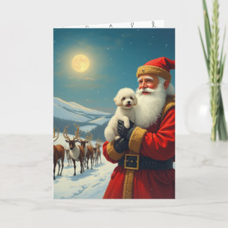 The loss of a pet at christmas bedankkaart