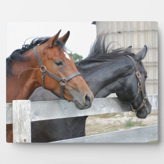 The Love Horses Fotoplaat (Voorkant)