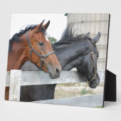 The Love Horses Fotoplaat (Zijkant)