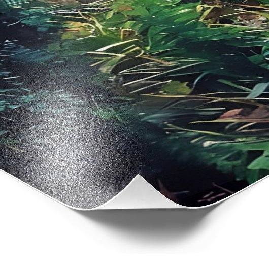 The Magic Passage Foto Afdruk (Hoek)