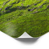 The Majestic Expanse of Ladies' View Perfect Poster (Hoek)