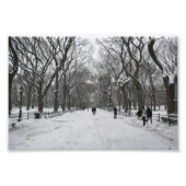 The Mall, Central Park NY Foto Afdruk (Voorkant)