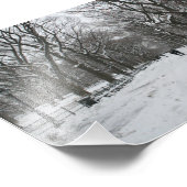 The Mall, Central Park NY Foto Afdruk (Hoek)