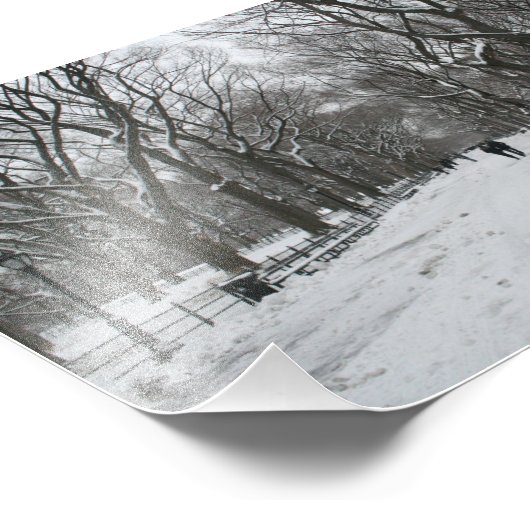 The Mall, Central Park NY Foto Afdruk (Hoek)