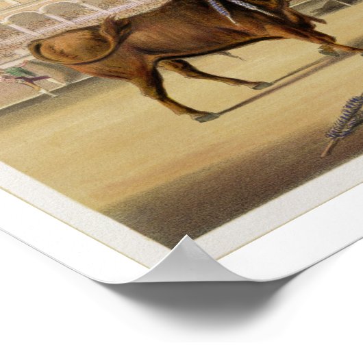 The Matador, 1865 (kleurenlitho) Poster (Hoek)