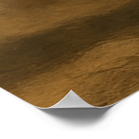 The Matador Poster (Hoek)