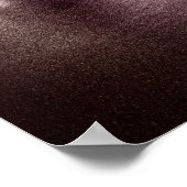 The Matsumoto Castle, Japan Poster (Hoek)