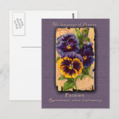 The Meaning of the Pansy Briefkaart (Voorkant / Achterkant)