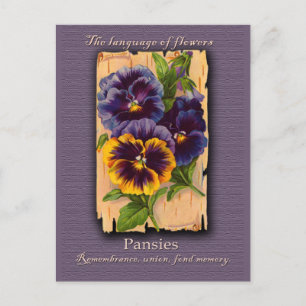 The Meaning of the Pansy Briefkaart