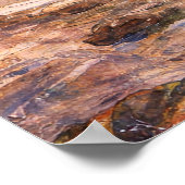 The Merman by John William Waterhouse Poster (Hoek)