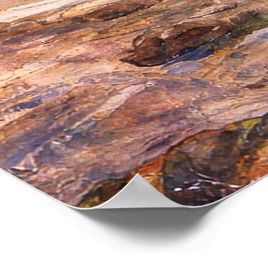 The Merman by John William Waterhouse Poster (Hoek)